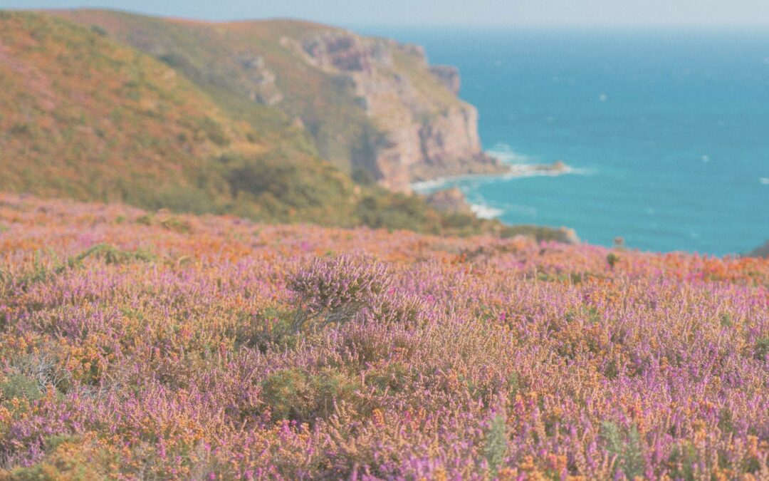Un été en Bretagne : Soleil, mer, traditions vivantes et évasion responsable