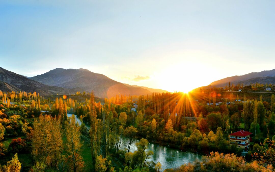 Les couleurs de l’automne à travers le monde : Un voyage enchanteur