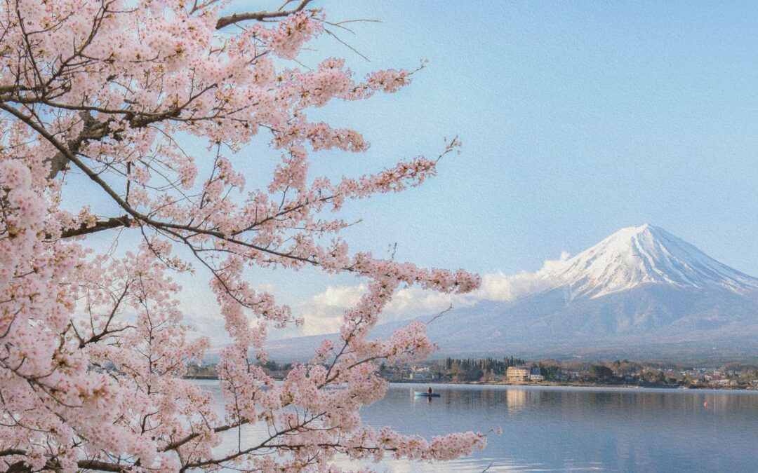 Culture Japonaise : Les proverbes qui vous aideront à vivre sereinement et en harmonie