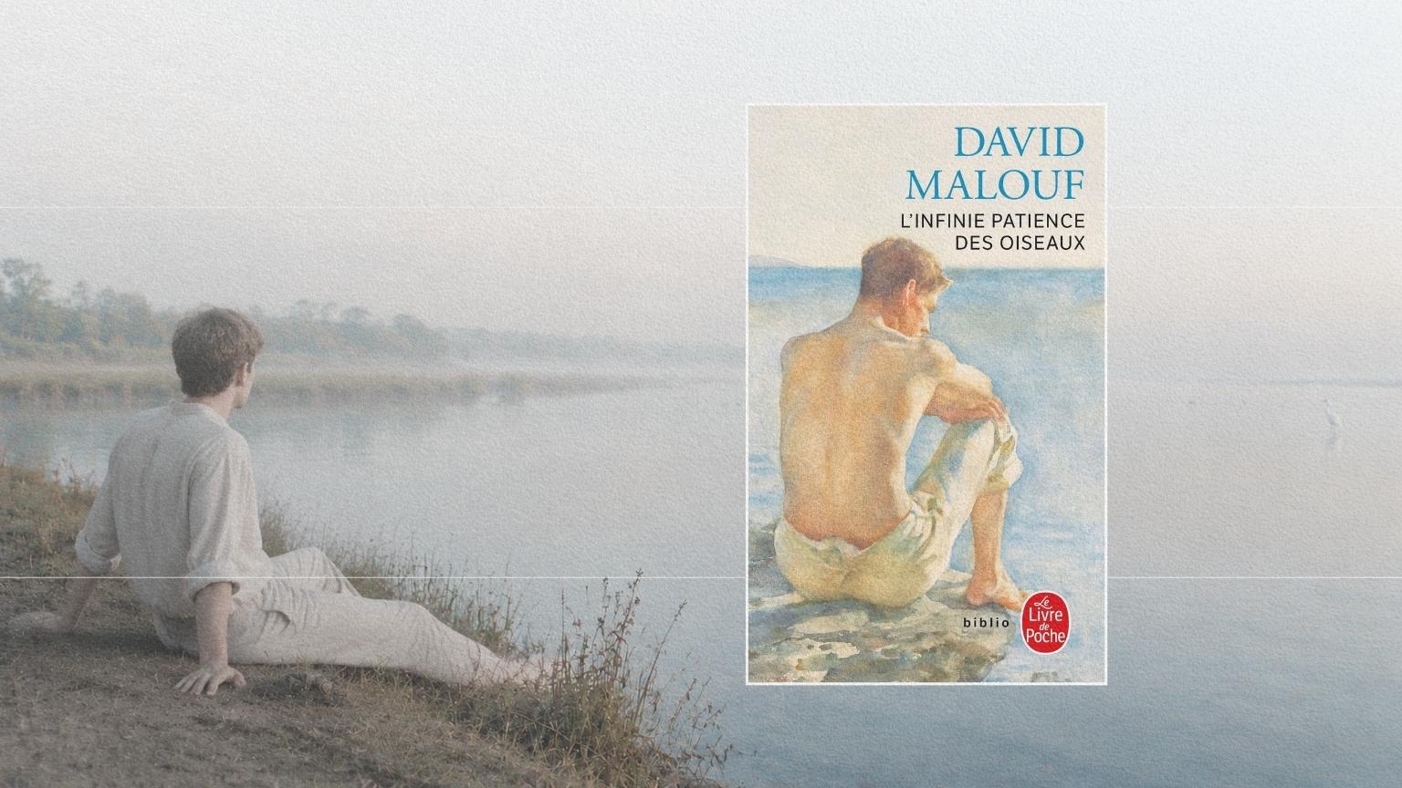 Jeune observateur regardant des oiseaux migrateurs dans un estuaire du Queensland, paysage qui évoque L’Infinie patience des oiseaux de David Malouf.