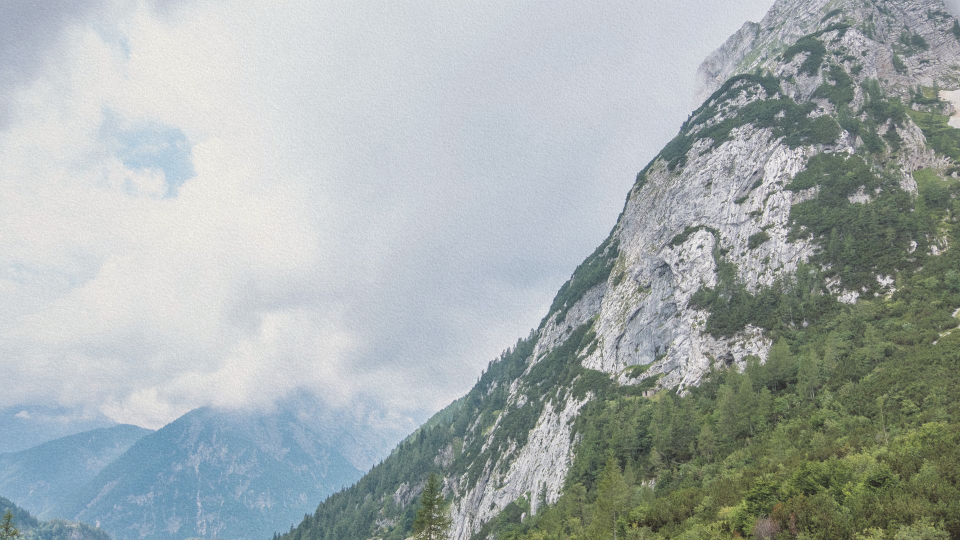 Parois calcaires et forêts du massif du Triglav sous un ciel voilé