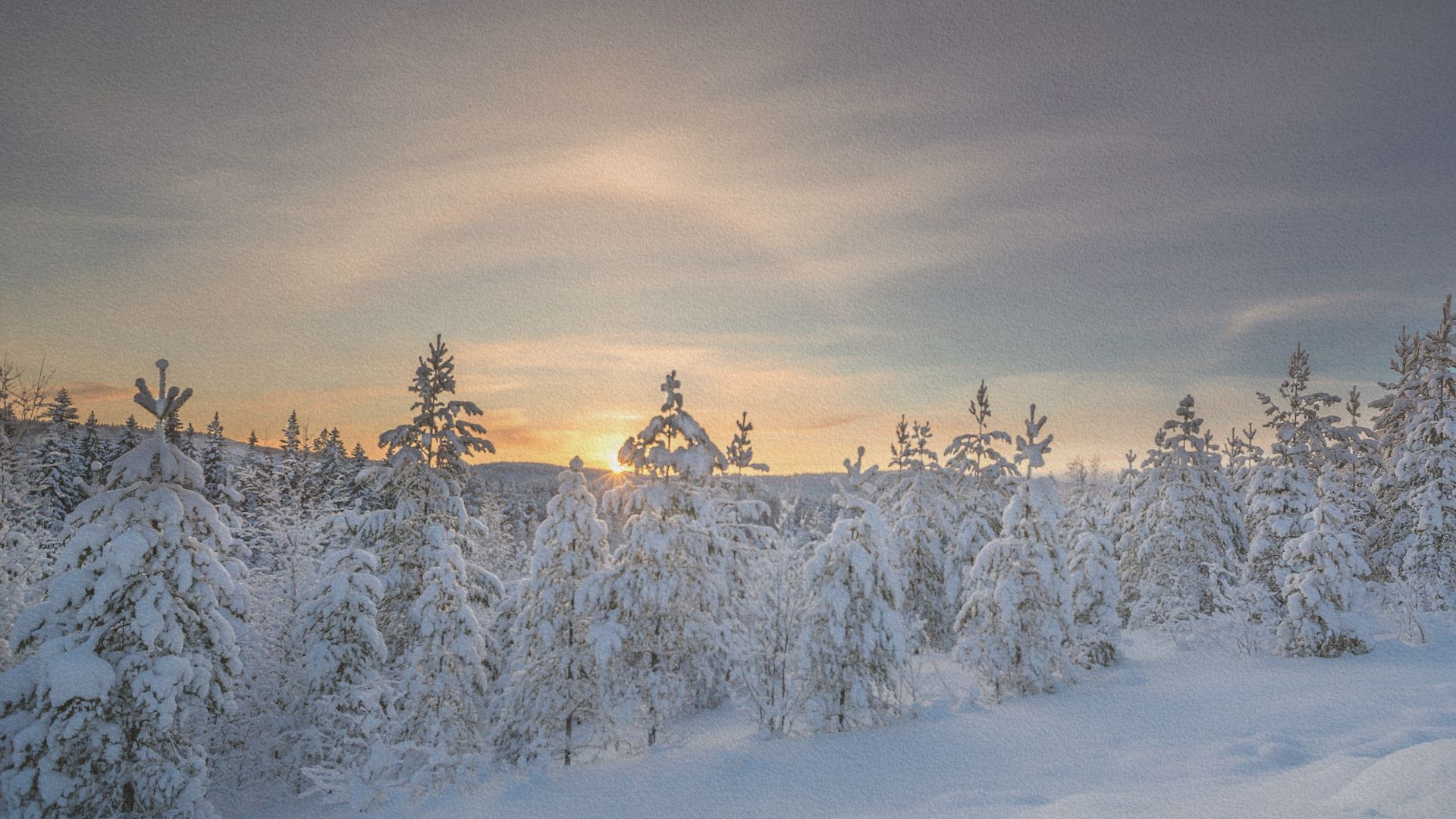 Maisons rouges traditionnelles au bord de l'eau à Hälsingland, créant une scène paisible et idyllique.