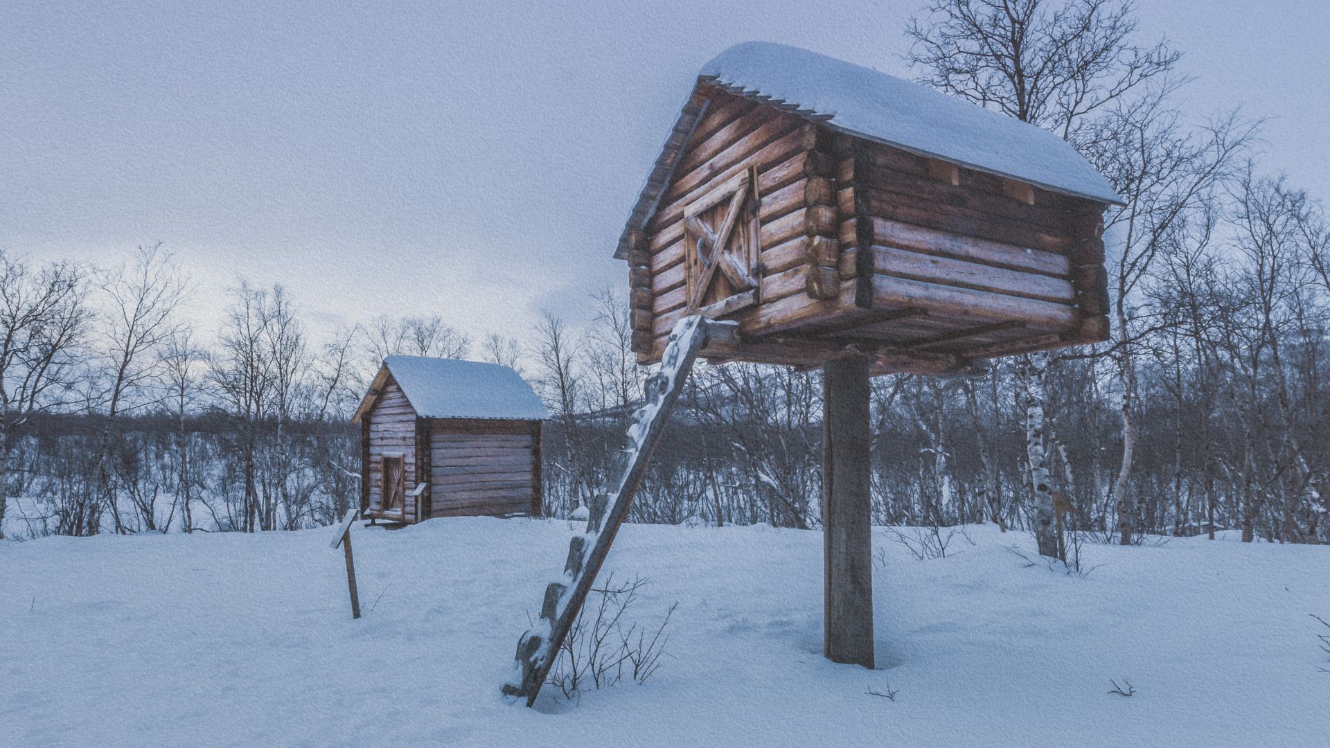 Forêt embrumée en Scandinavie, évoquant les contes mystérieux du Nord de l’Europe.