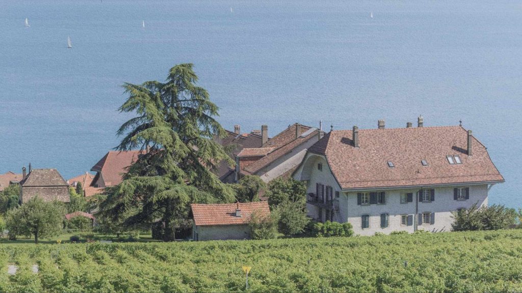 Maisons et vignobles en terrasses du Lavaux dominant le lac Léman, paysage culturel classé UNESCO
