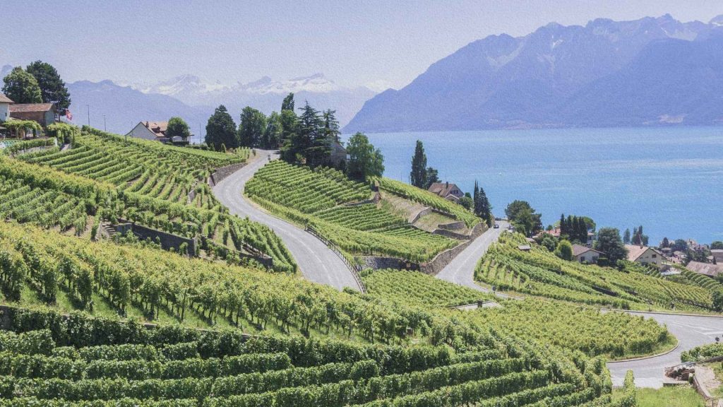 Route serpentant entre les vignobles en terrasses du Lavaux avec vue sur le lac Léman et les Alpes