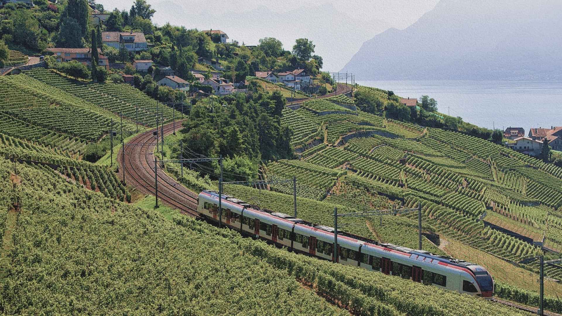 Train traversant les vignobles en terrasses du Lavaux au-dessus du lac Léman, Suisse