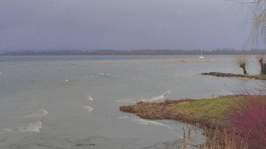 Rive du lac de Morat en Suisse sous ciel couvert, eau calme, roseaux et voilier au loin révélant l’ouverture du paysage lacustre