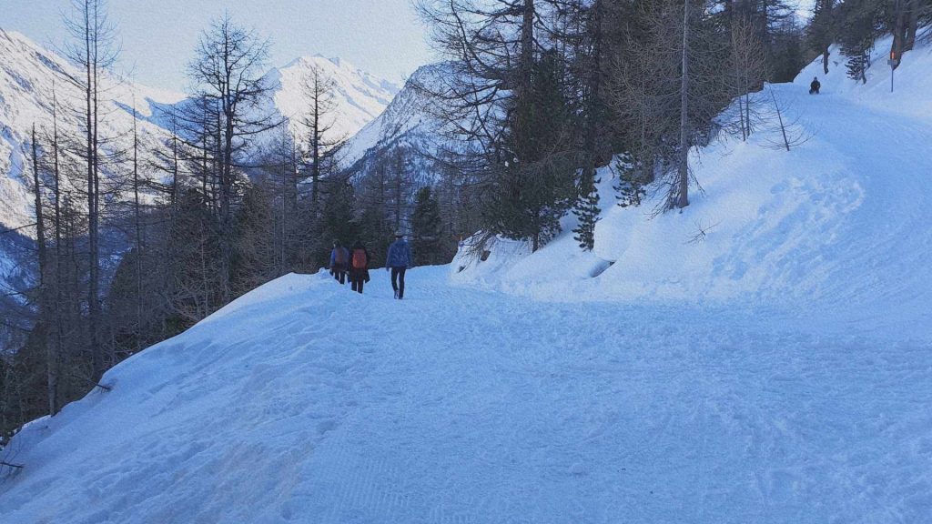 Piste de luge enneigée descendant à travers la forêt de mélèzes au-dessus de Saas-Fee dans les Alpes suisses