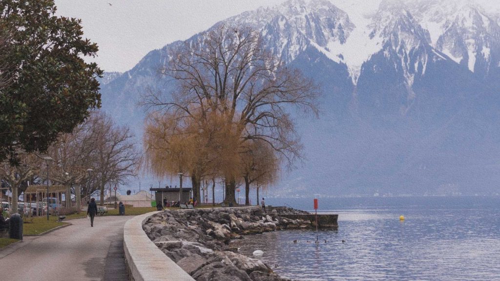 Promenade au bord du lac Léman à Vevey avec arbres, rivage et montagnes alpines en arrière-plan