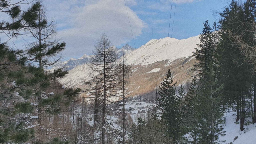 Forêt alpine enneigée avec vue sur le village de Zermatt et les sommets des Alpes suisses en hiver