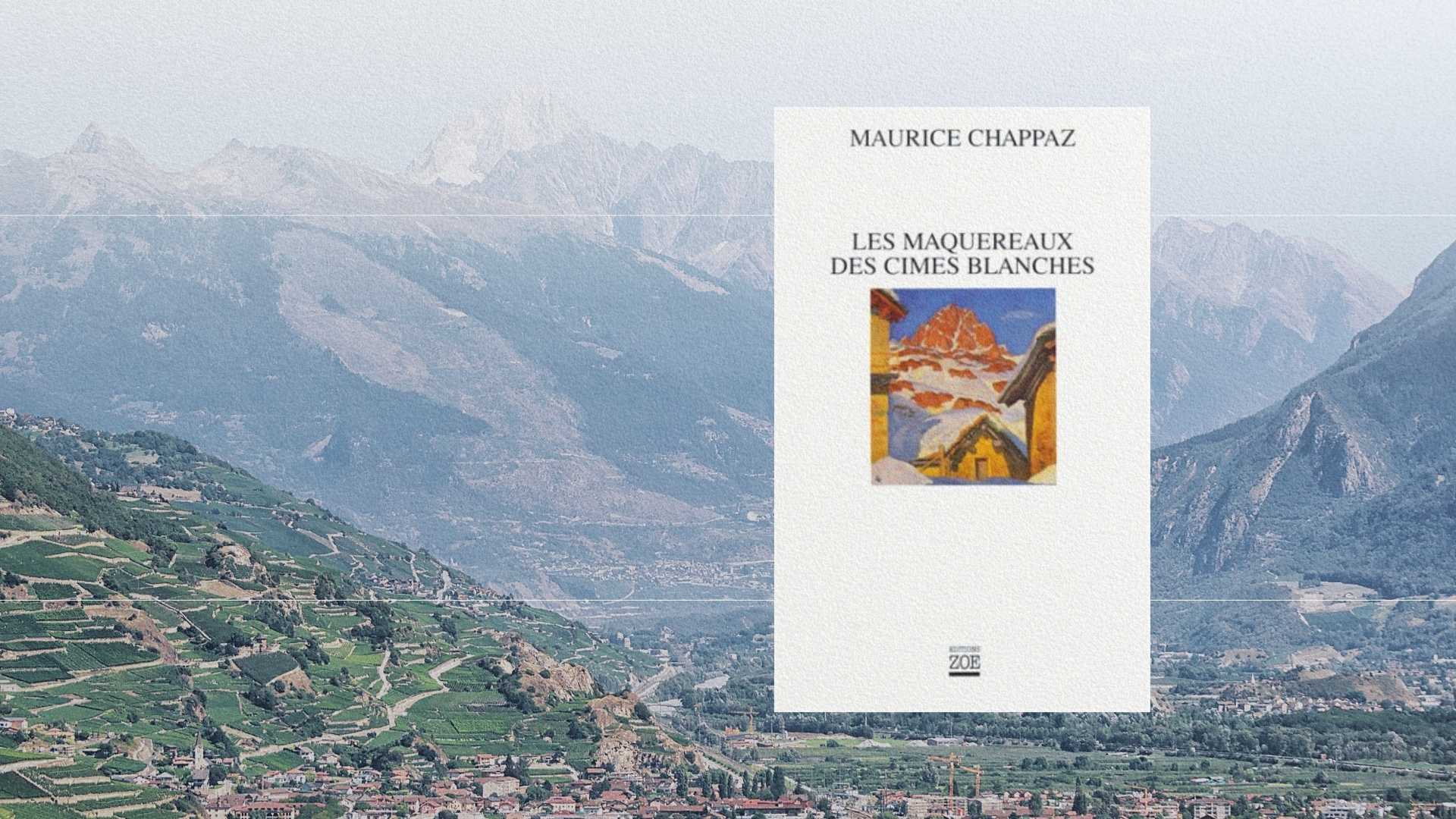 Paysage du Valais avec vignobles en terrasses et Alpes suisses