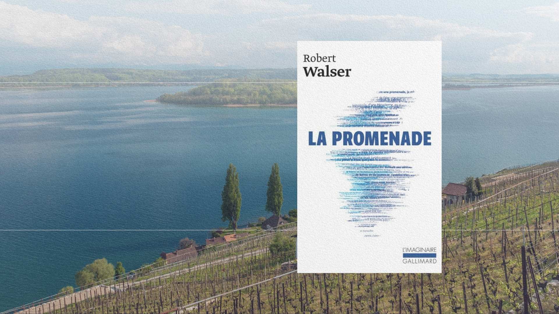 Livre La Promenade de Robert Walser posé devant les vignobles et le lac de Bienne en Suisse