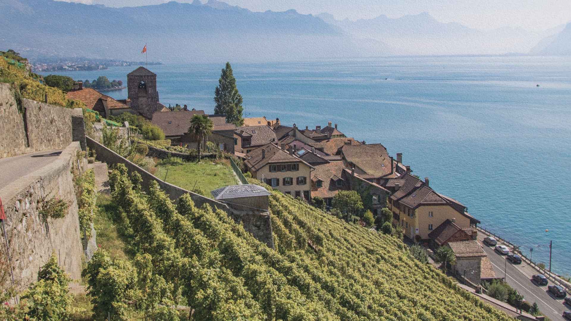 Village de Saint-Saphorin dans les vignobles de Lavaux au bord du lac Léman en Suisse