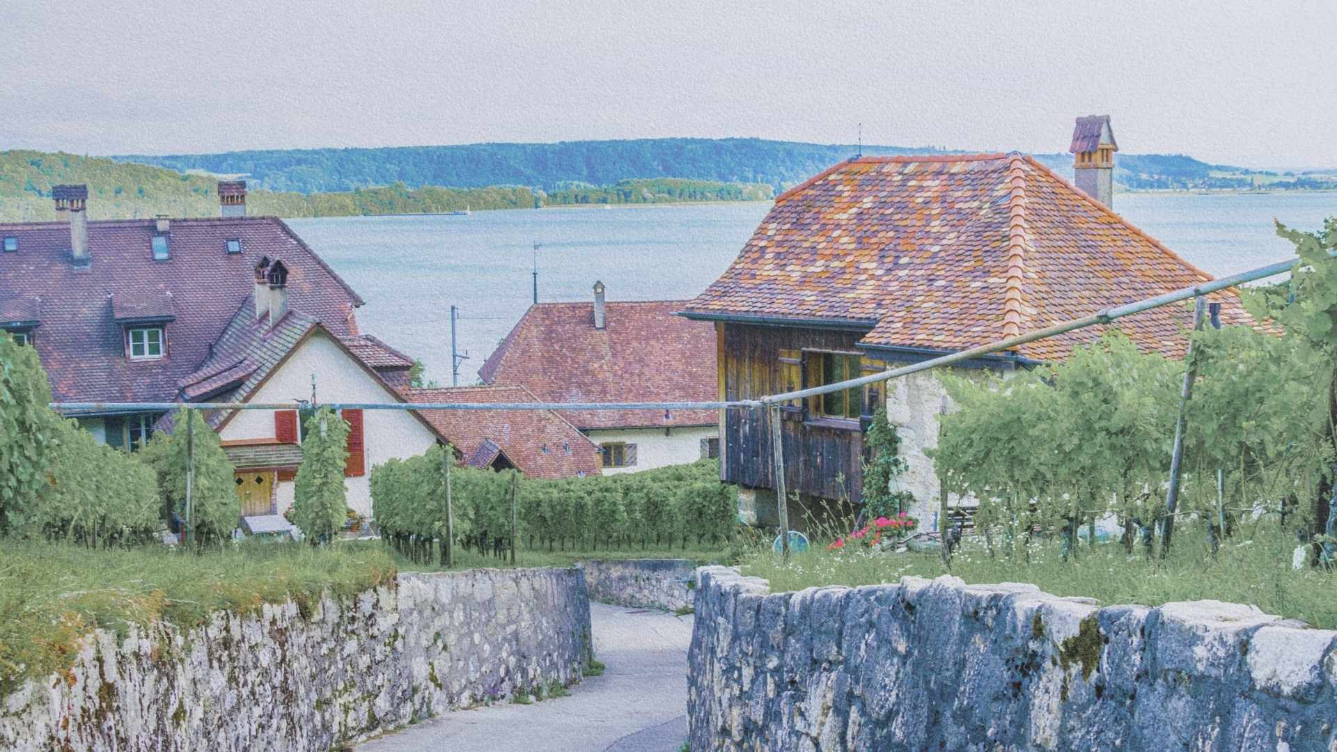 Village de Ligerz Gléresse entouré de vignobles au bord du lac de Bienne en Suisse