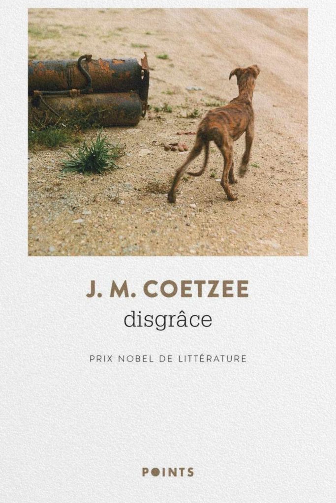 Disgrâce de J. M. Coetzee, tensions sociales dans l’Afrique du Sud post-apartheid