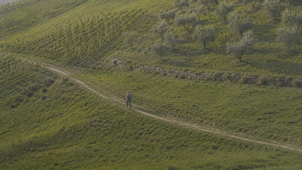 Collines cultivées de Toscane montrant différentes parcelles agricoles.