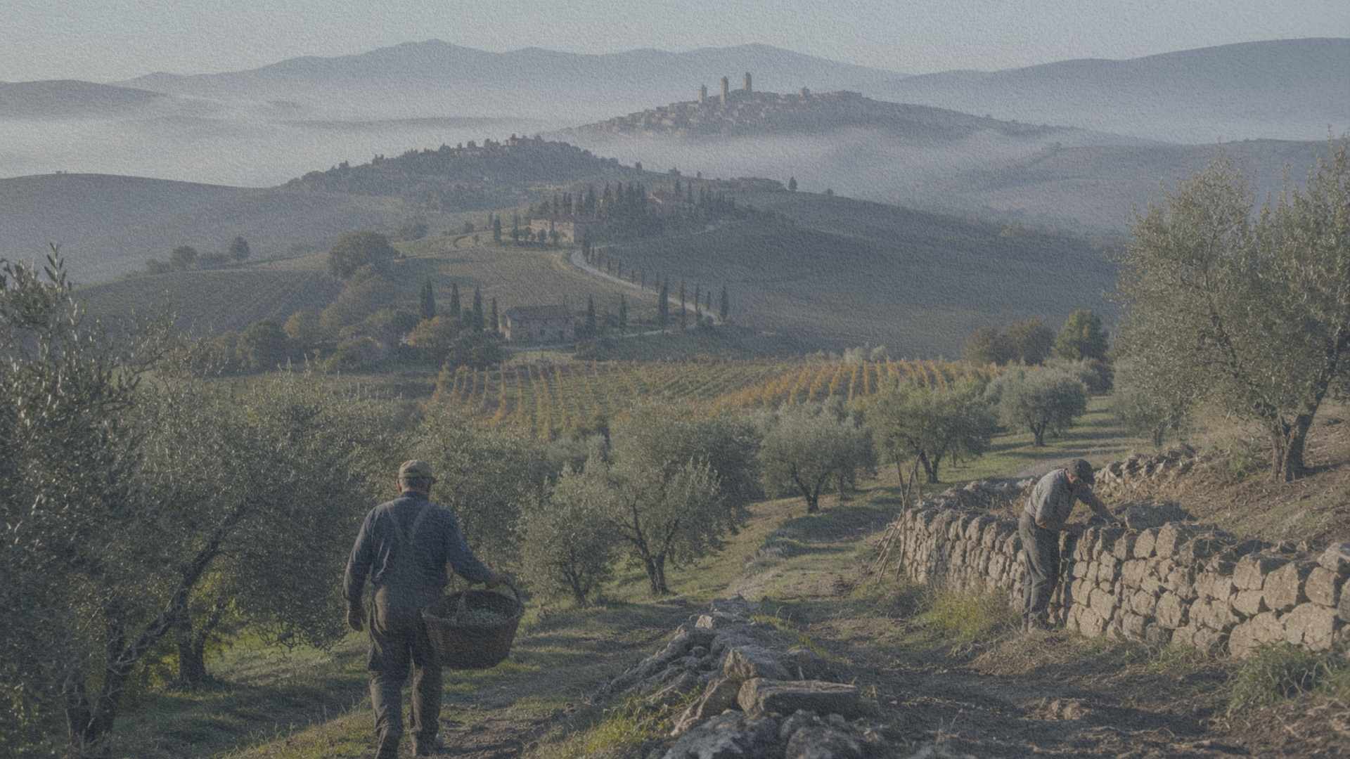 Paysage agricole du Val d'Orcia en Toscane montrant comment les territoires façonnent les cultures régionales italiennes.