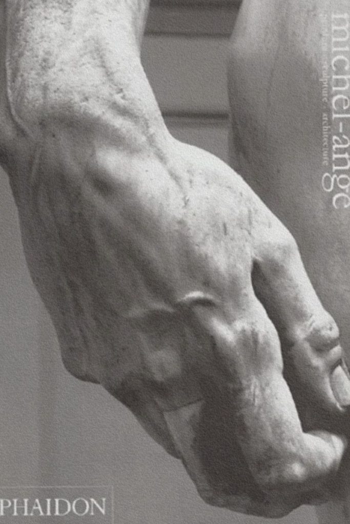 Couverture du livre Michel-Ange. Peinture, sculpture, architecture de Ludwig Goldscheider.