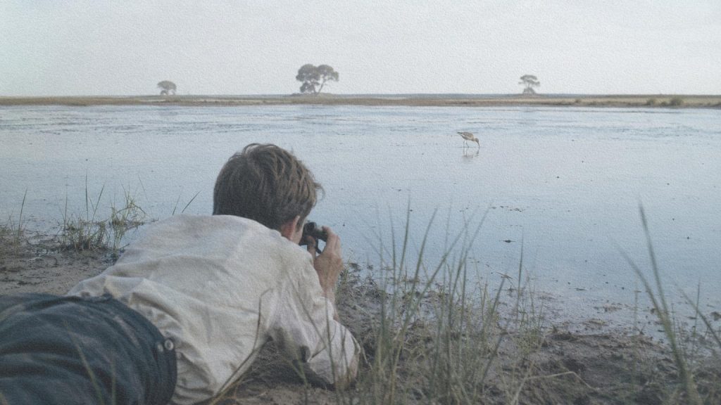 Jeune observateur allongé parmi les herbes d’un marais du Queensland, face à un petit oiseau se nourrissant dans l’eau.