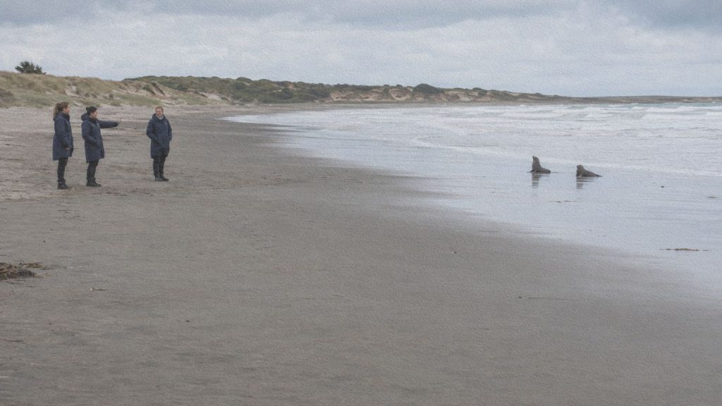 Trois femmes observent à distance deux lions de mer sur une plage des Catlins.
