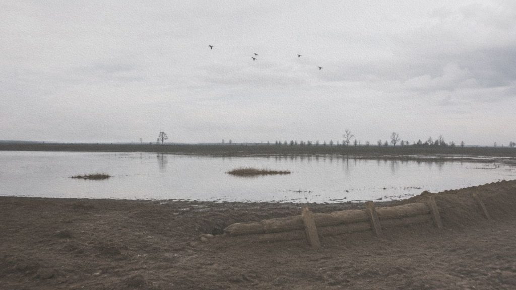Oiseaux migrateurs volant au-dessus d’un paysage de tranchées du front occidental, écho au passage du Queensland à la guerre dans le roman de David Malouf.
