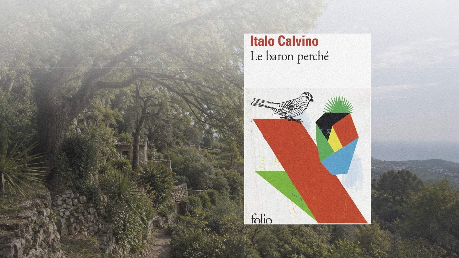 Paysage arboré de Ligurie occidentale, territoire qui nourrit l’imaginaire du Baron perché d’Italo Calvino.
