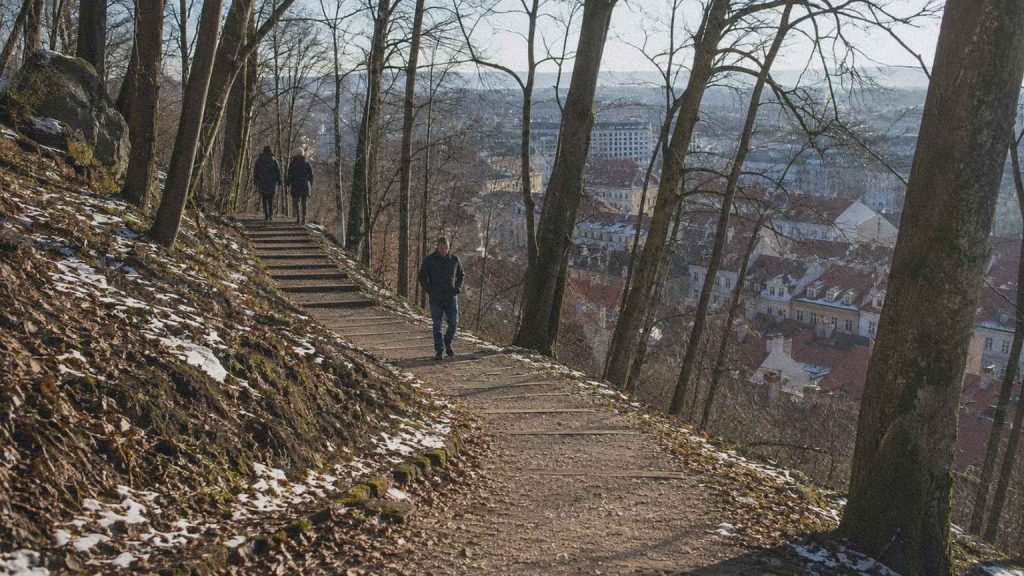 Promeneurs montant vers le château de Ljubljana par un chemin boisé en hiver.