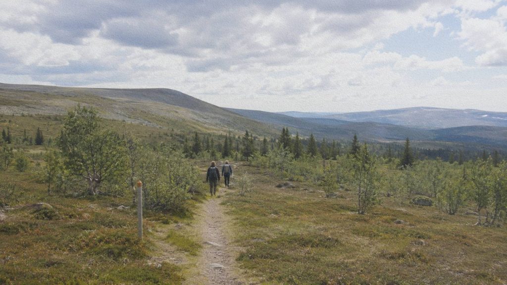 Deux marcheurs suivent un sentier d’altitude qui descend progressivement vers les forêts du Härjedalen.