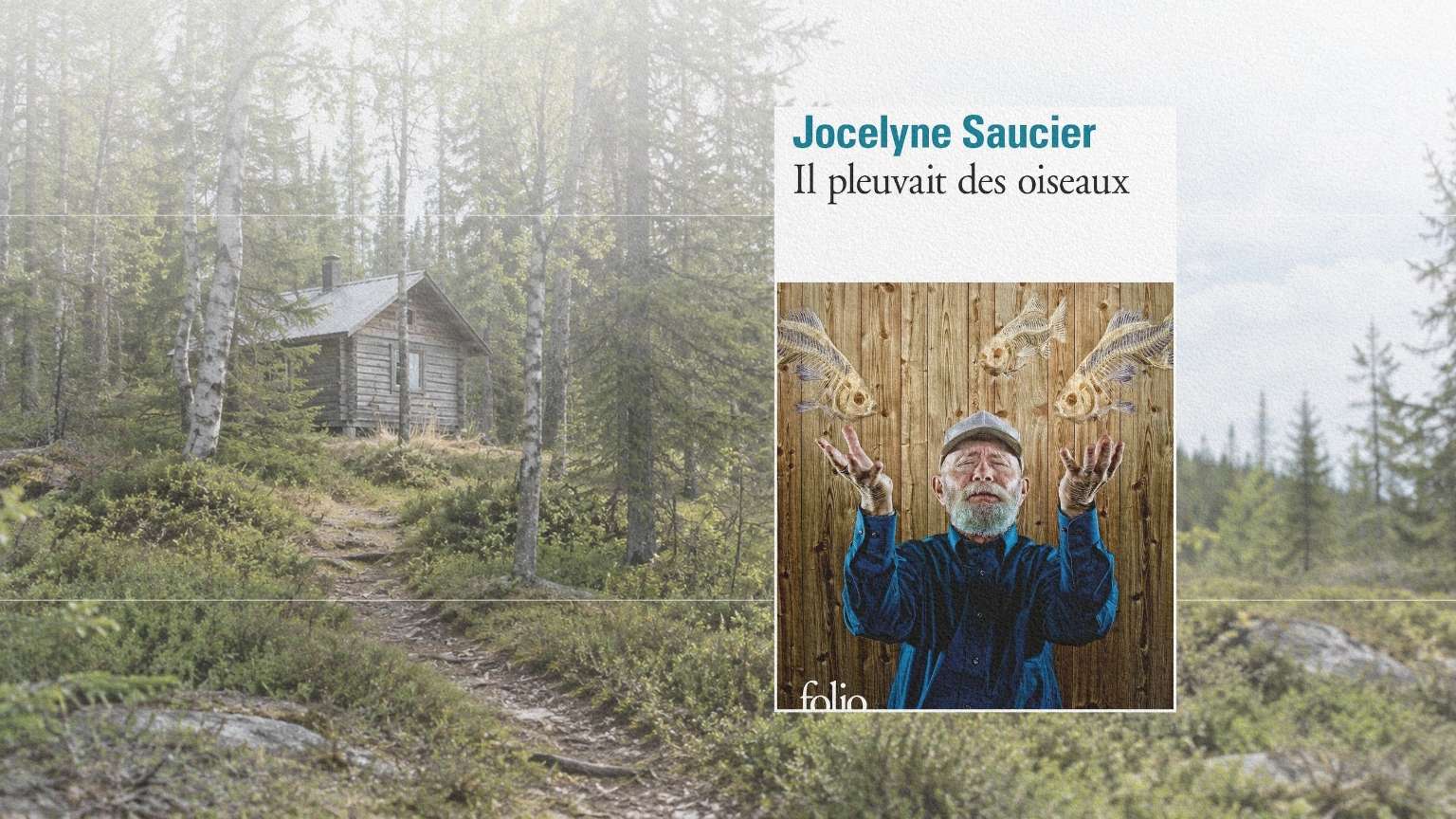Couverture du roman Il pleuvait des oiseaux de Jocelyne Saucier devant une cabane en forêt